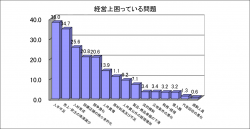 桑名地域景況調査H29下期 経営上の問題点